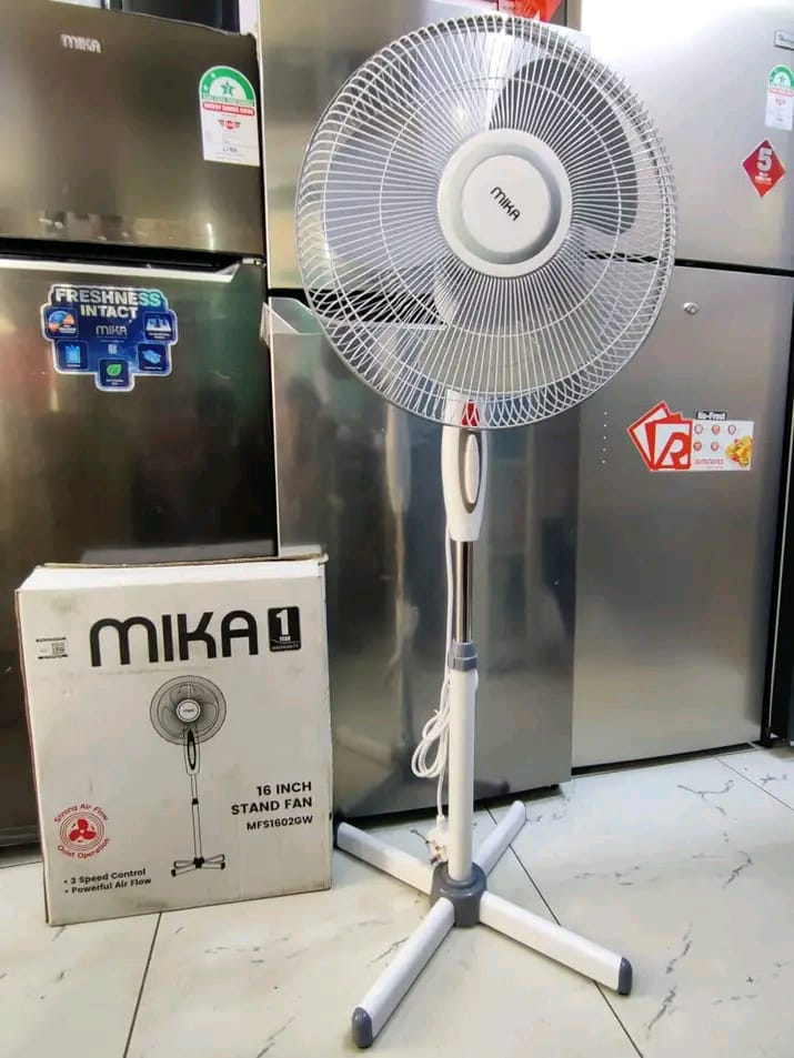 Fan